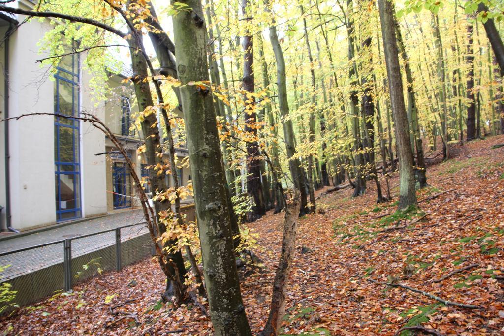 Hotel Lesny Sopot Exterior photo